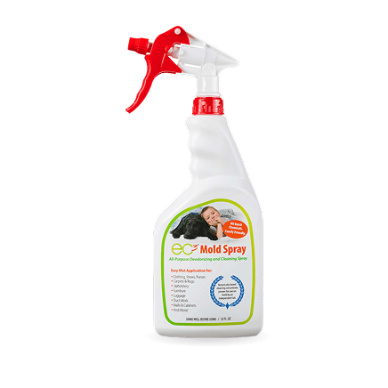CleanHomeAdvisor.com